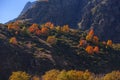 Colorful autumn landscape in the Caucasus mountains, colorful forest in Kazbegi, Georgia Royalty Free Stock Photo