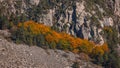 Colorful autumn landscape in the Caucasus mountains, colorful forest in Kazbegi, Georgia Royalty Free Stock Photo