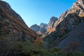 Colorful autumn landscape in the Caucasus mountains, colorful forest in Kazbegi, Georgia Royalty Free Stock Photo