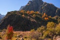 Colorful autumn landscape in the Caucasus mountains, colorful forest in Kazbegi, Georgia Royalty Free Stock Photo