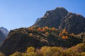 Colorful autumn landscape in the Caucasus mountains, colorful forest in Kazbegi, Georgia Royalty Free Stock Photo