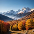 Colorful autumn landscape in the Caucasus mountains. Sunny morning scene with mountain Ushba on the background. Royalty Free Stock Photo