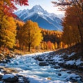 Colorful autumn landscape in the Caucasus mountains. Sunny morning scene with mountain Ushba on the background. Royalty Free Stock Photo