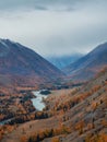 Colorful autumn landscape with golden leaves on trees along wide turquoise mountain river in misty morning. Awesome vertical Royalty Free Stock Photo