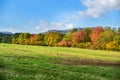 Colorful autumn landscape, green meadow, blue sky, orange and red trees Royalty Free Stock Photo