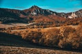 Colorful autumn landscape, green meadow, blue sky, orange and red trees Royalty Free Stock Photo