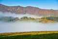 Colorful autumn landscape. Green meadow and forest. Colorful trees and sunlight. autumn natural background Royalty Free Stock Photo