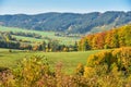 Colorful autumn landscape. Green meadow and forest. Colorful trees and sunlight. autumn natural background Royalty Free Stock Photo