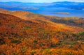 Colorful Autumn Landscape with Lake View