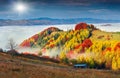 Colorful autumn landscape in the mountain village. Foggy morning Royalty Free Stock Photo