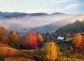 Colorful autumn landscape in the mountain village Foggy morning. Close up view. Generative AI Royalty Free Stock Photo