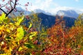 Colorful autumn landscape near Piva lake in Montenegro Royalty Free Stock Photo