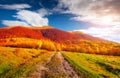 Colorful autumn landscape with old country road. Sunny morning scene in Carpathians, Ukraine, Europe. Beauty of nature concept