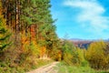 Colorful autumn landscape with picturesque forest and old country road. Sunny morning scene in Carpathians, Ukraine, Europe.