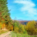 Colorful autumn landscape with picturesque forest and old country road