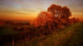 Colorful autumn landscape scene Royalty Free Stock Photo