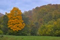 Colorful autumn landscape scene in the Ukrainian Carpathians. Royalty Free Stock Photo