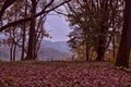 Colorful autumn landscape scene in the Ukrainian Carpathians. Royalty Free Stock Photo