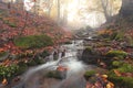 Colorful autumn landscape, stunning autumn dawn landscape, river in autumn forest, amazing panoramic nature scenery. Royalty Free Stock Photo