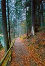 Colorful autumn landscape on Synevir lake, Ukraine. Path in the