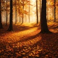 Colorful autumn landscape with trees and multicolored orange, red and yellow leaves. Extra wide panorama of a gorgeous Royalty Free Stock Photo