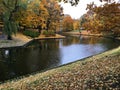 Colorful autumn landscape with yellow golden leaves on trees on the banks of rivers and lakes Royalty Free Stock Photo