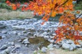 Colorful Autumn Leaf and River in korankei, Japan