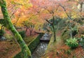 Colorful autumn leaves along canal with sun rays in Tofukuji Temple, Kyoto Japan Royalty Free Stock Photo