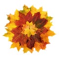 Colorful autumn leaves arranged in a flower shape