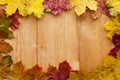 Colorful autumn leaves arranged in frame - yellow, red and brown. Background from light wood boards - copy space Royalty Free Stock Photo