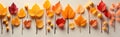 Colorful autumn leaves as a border, a very wide panorama format with bright colors on a light background Royalty Free Stock Photo