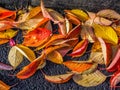 Colorful Autumn Leaves on Asphalt