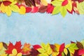 Colorful autumn leaves background banner top view. Fall sale mockup. Copy space for text.