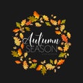 Colorful Autumn Leaves Background. Floral Banner Design Royalty Free Stock Photo