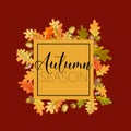 Colorful Autumn Leaves Background. Floral Banner Design Royalty Free Stock Photo