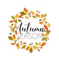 Colorful Autumn Leaves Background. Floral Banner Design Royalty Free Stock Photo