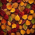 Colorful autumn leaves background. Red, yellow, orange, green and brown. AI generated Royalty Free Stock Photo