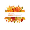 Colorful Autumn Leaves Background