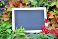 Colorful autumn leaves Blackboard Royalty Free Stock Photo