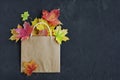 Colorful autumn leaves in a brown craft bag Royalty Free Stock Photo