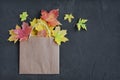 Colorful autumn leaves in a brown craft bag Royalty Free Stock Photo
