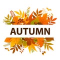 Colorful autumn leaves bush twigs branches plants banner Royalty Free Stock Photo