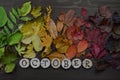 Colorful autumn leaves with word OCTOBER Royalty Free Stock Photo