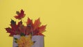 Colorful autumn leaves in a paper bag on a yellow background. Autumn discounts and shopping concept Royalty Free Stock Photo