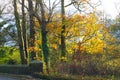 Autumn leaves in Ashbourne Royalty Free Stock Photo