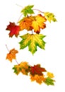 Colorful autumn leaves falling down Royalty Free Stock Photo