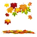 Colorful autumn leaves falling down Royalty Free Stock Photo