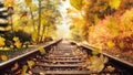 Colorful autumn leaves falling down on railway tracks Royalty Free Stock Photo