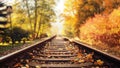 Colorful autumn leaves falling down on railway tracks Royalty Free Stock Photo