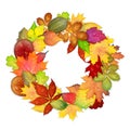 Colorful autumn leaves frame isolated on white background. Vector illustration